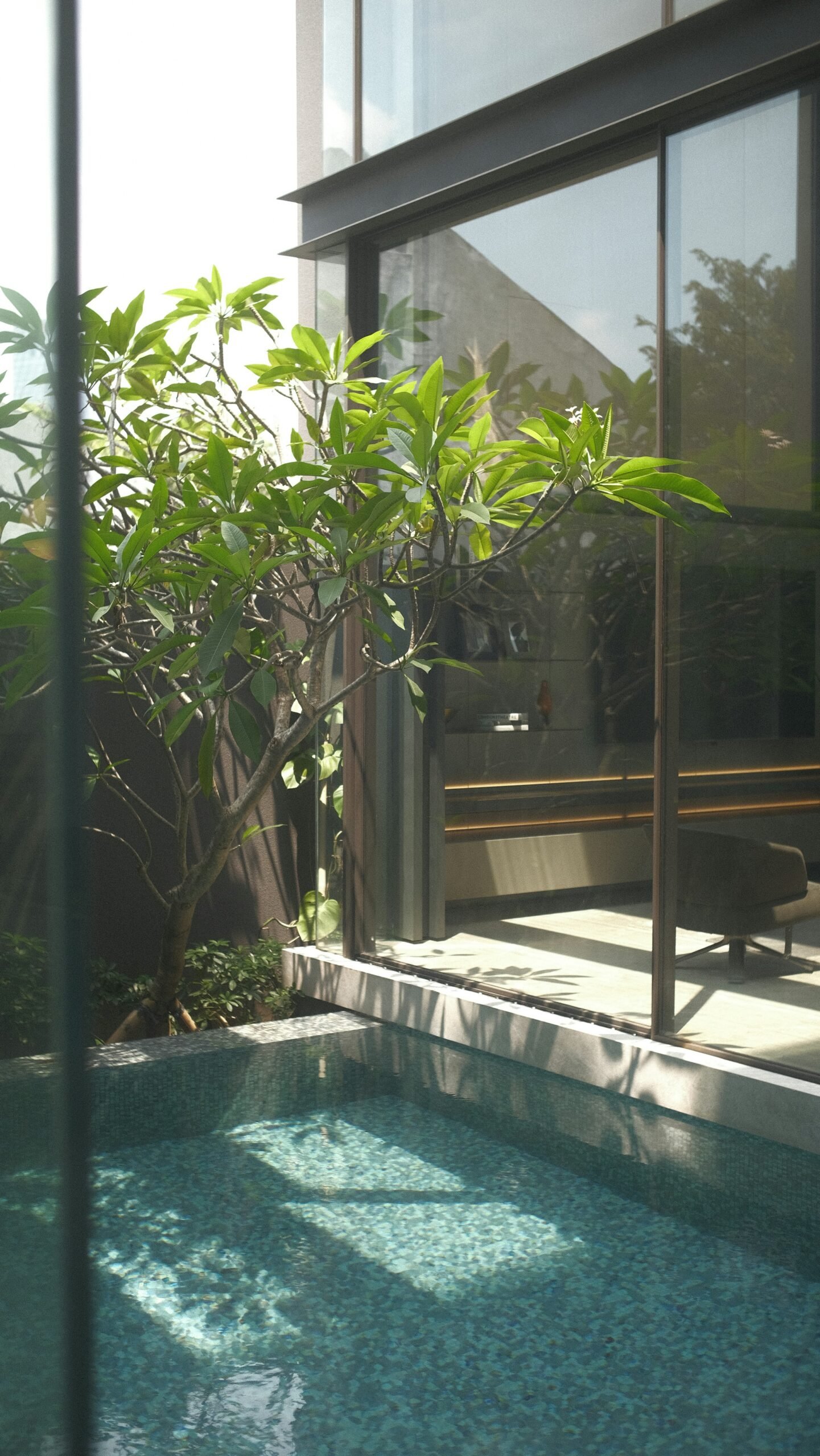 Petite piscine premium dans un jardin